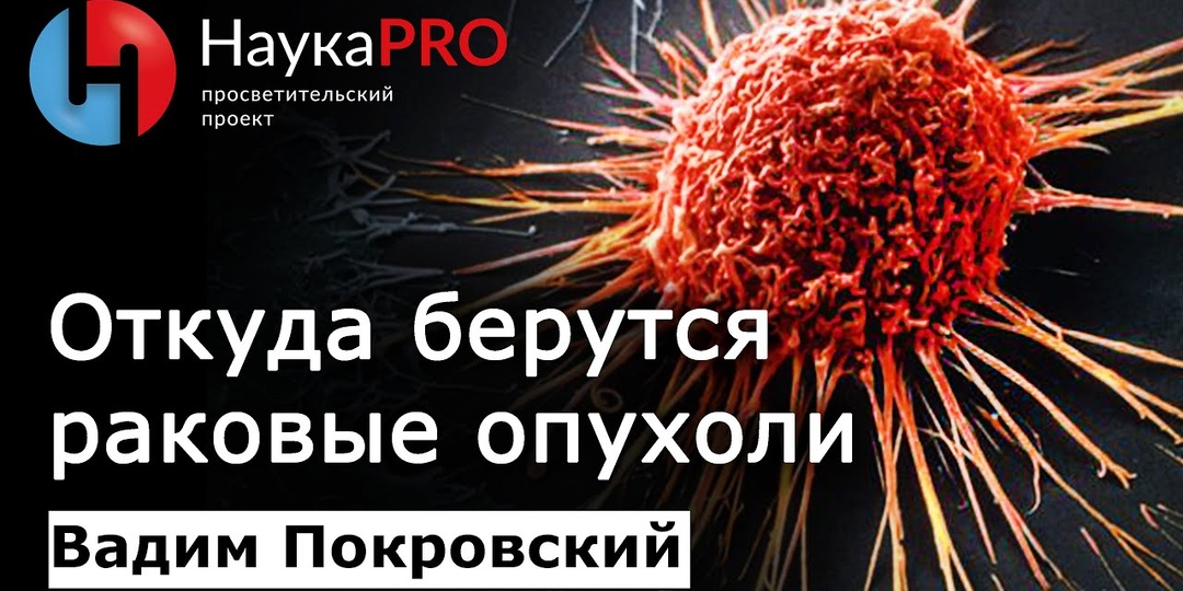 Откуда берутся опухоли у тех, кто «правильно питается»: мифы и правда о раке