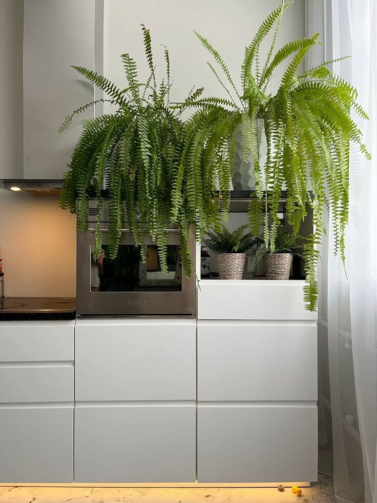 Фото взяты из Pinterest