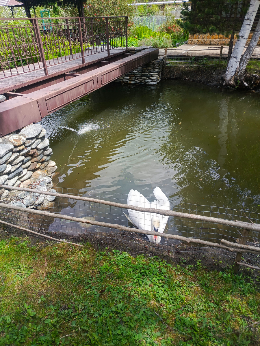 Увидели этого красавца по пути