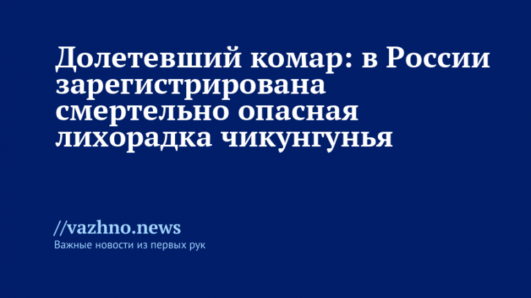    Фото: Global Look Press/Cadu Rolim