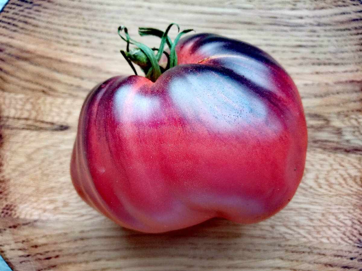 Фото автора от 03.08.2025г. Встечаются и покрупнее до 300 гр.