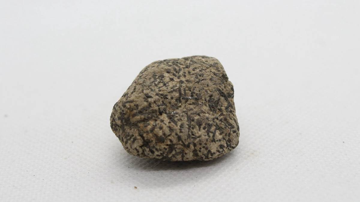    Фото: Shutterstock