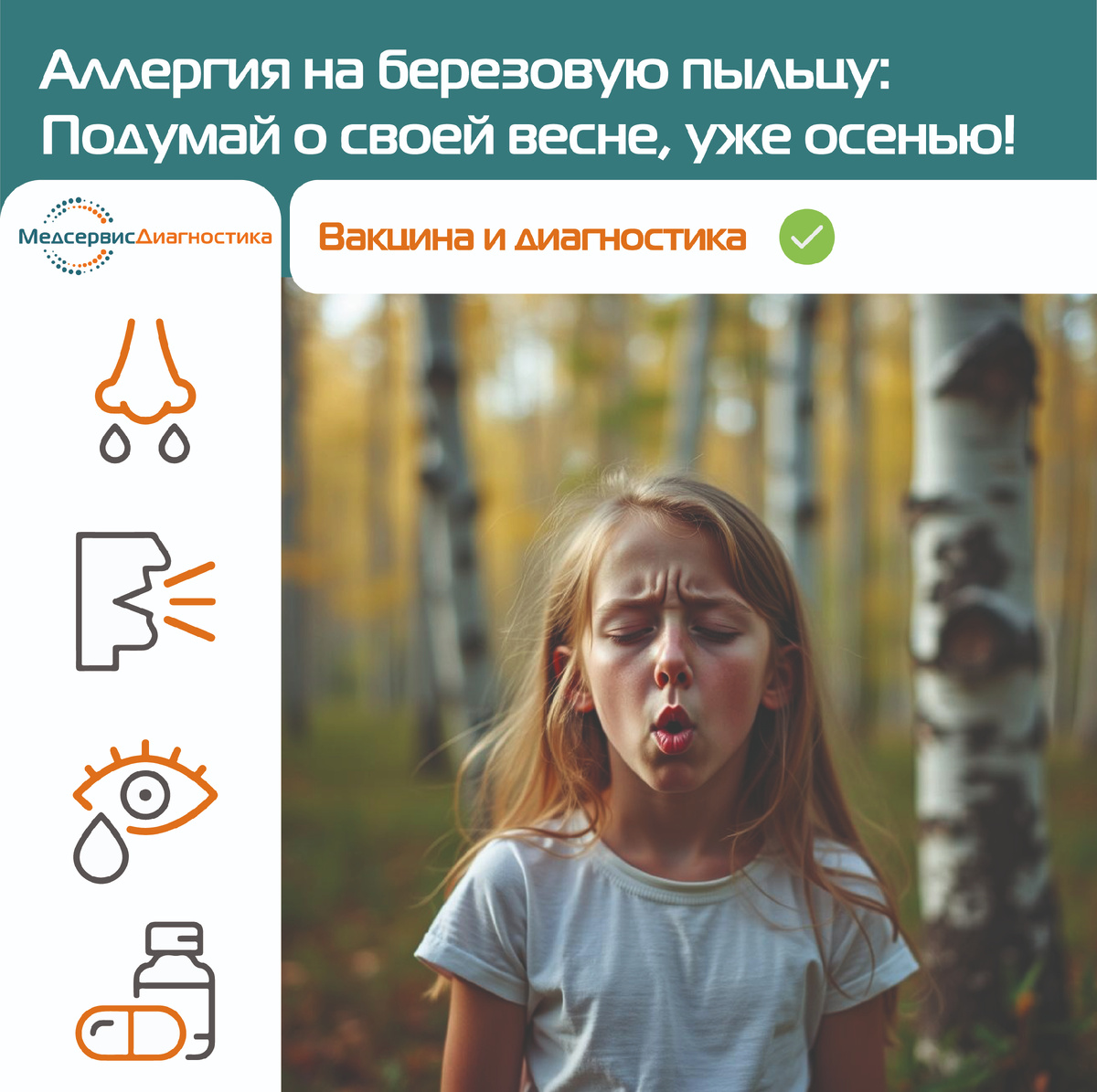 Аллергия на березовую пыльцу -вакцина и диагностика на приборе Siemens Immulite 2000.