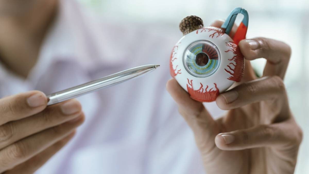    Фото: Shutterstock