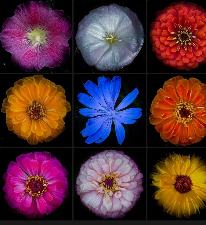 Картинка из сети.