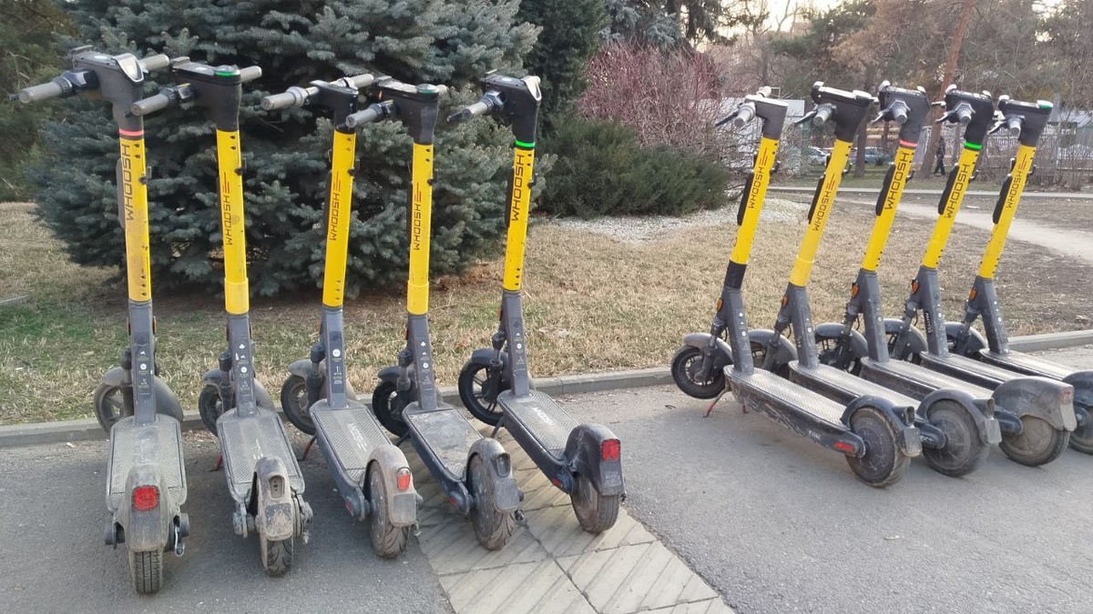 Фото: телеканал «Краснодар»