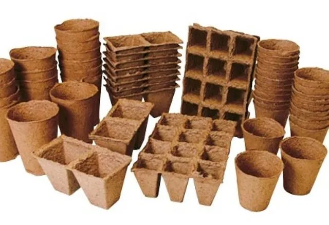 Источник: https://fr.wow-plants.com/6839995-tomato-seedlings-in-peat-tablets-and-cups