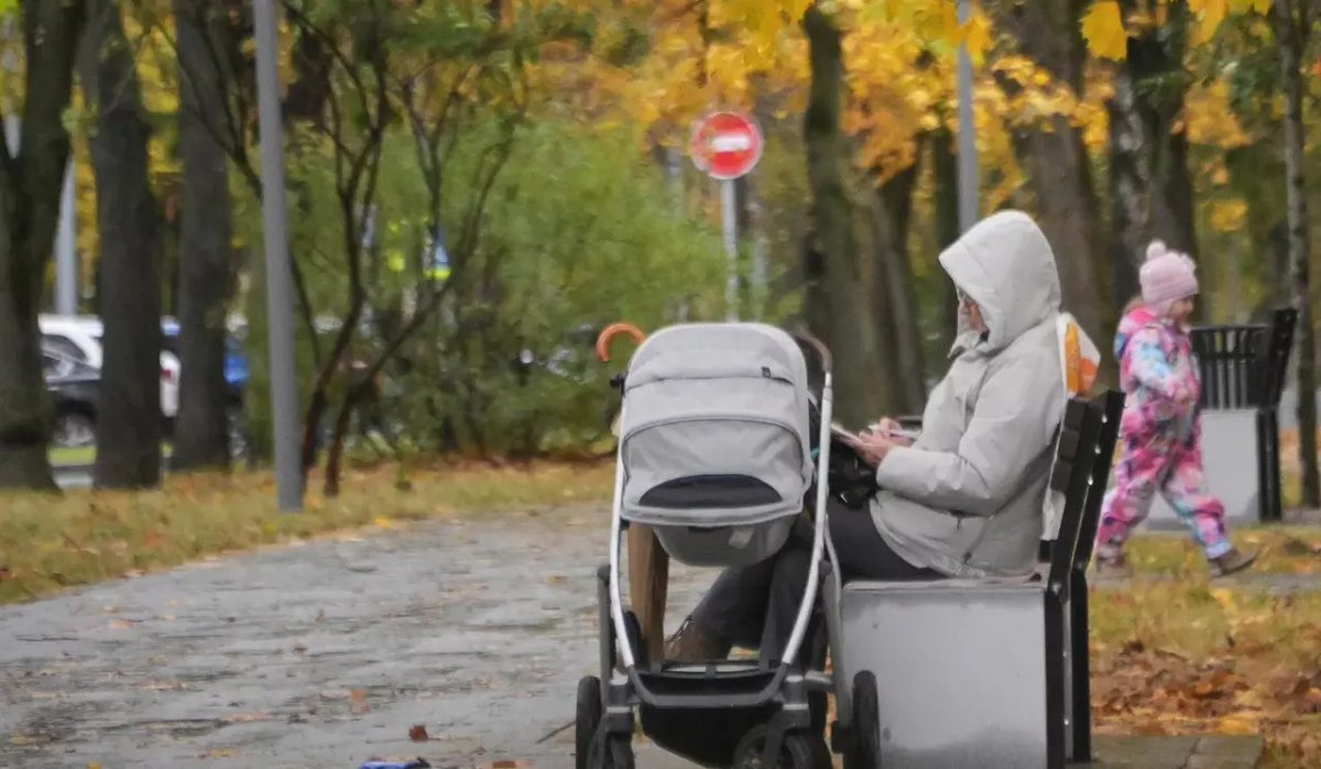     Женщина с коляской. Источник: РИА Новости Автор фото: Владимир Федоренко
