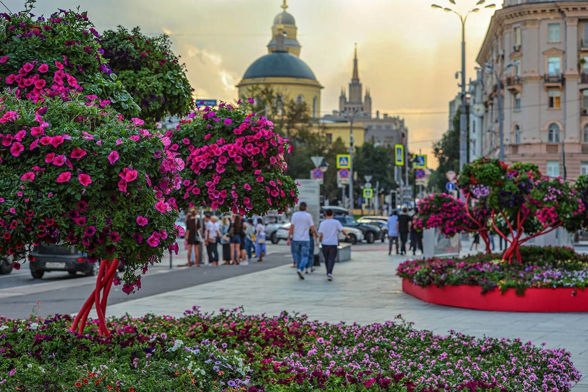 "Цветут цветы среди зимы, считаю дни, я должен ждать
Цветут цветы среди огней, среди чужой большой любви"(с) Фото: kudamoscow.ru
