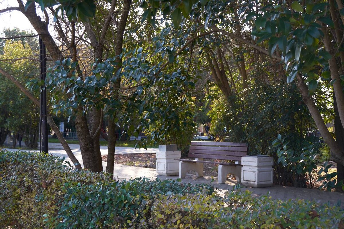    Фото: Сочи24