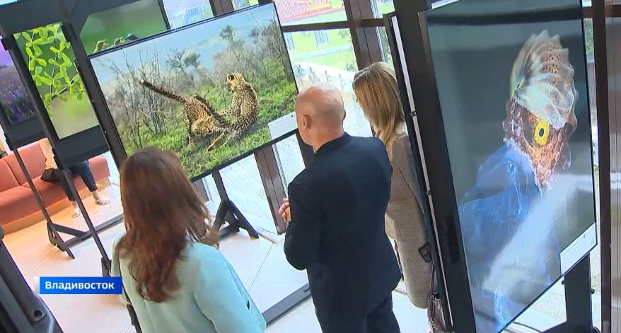    Источник фото: