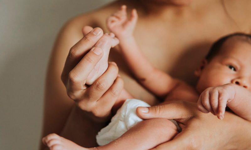    Фото freepik.com