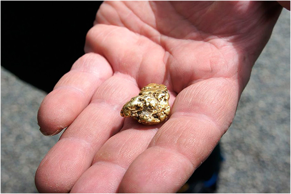 Фото из интернета. Настоящий самородок.