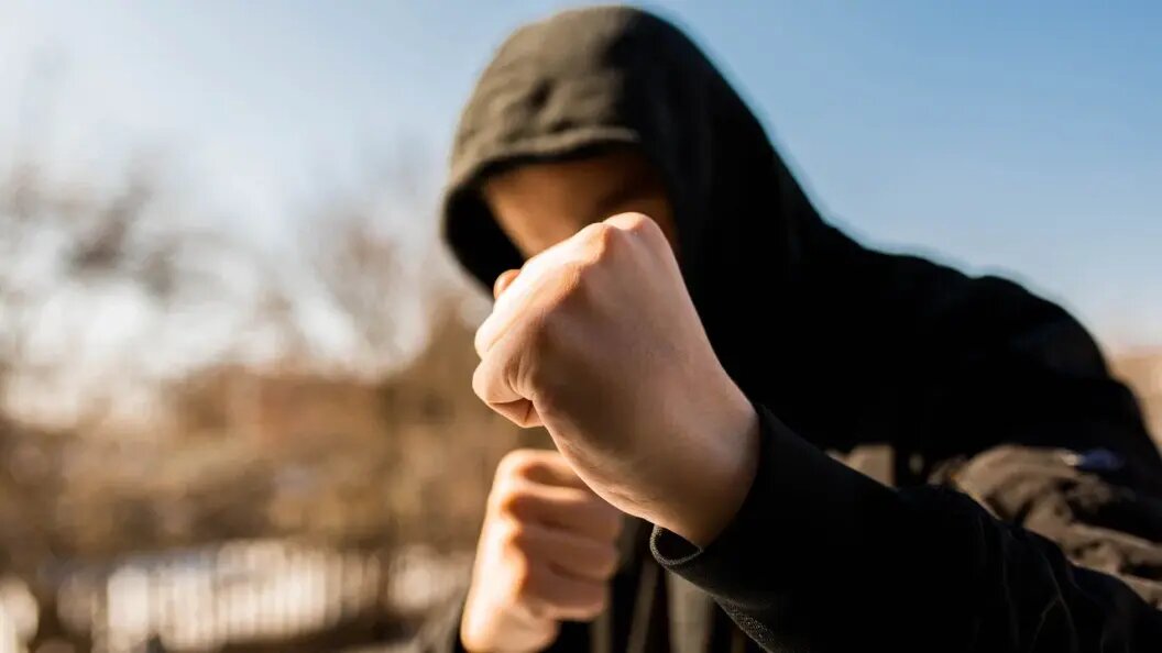    Benedek Alpar\shutterstock