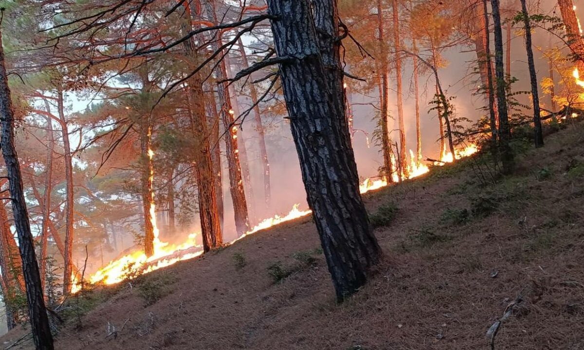    Фото t.me/mpr_kk