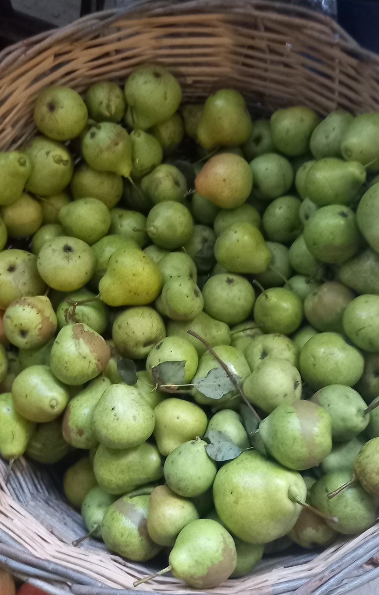 кстати, то же самое можно сделать и для груш. Урожай груш в этом году очень обильный