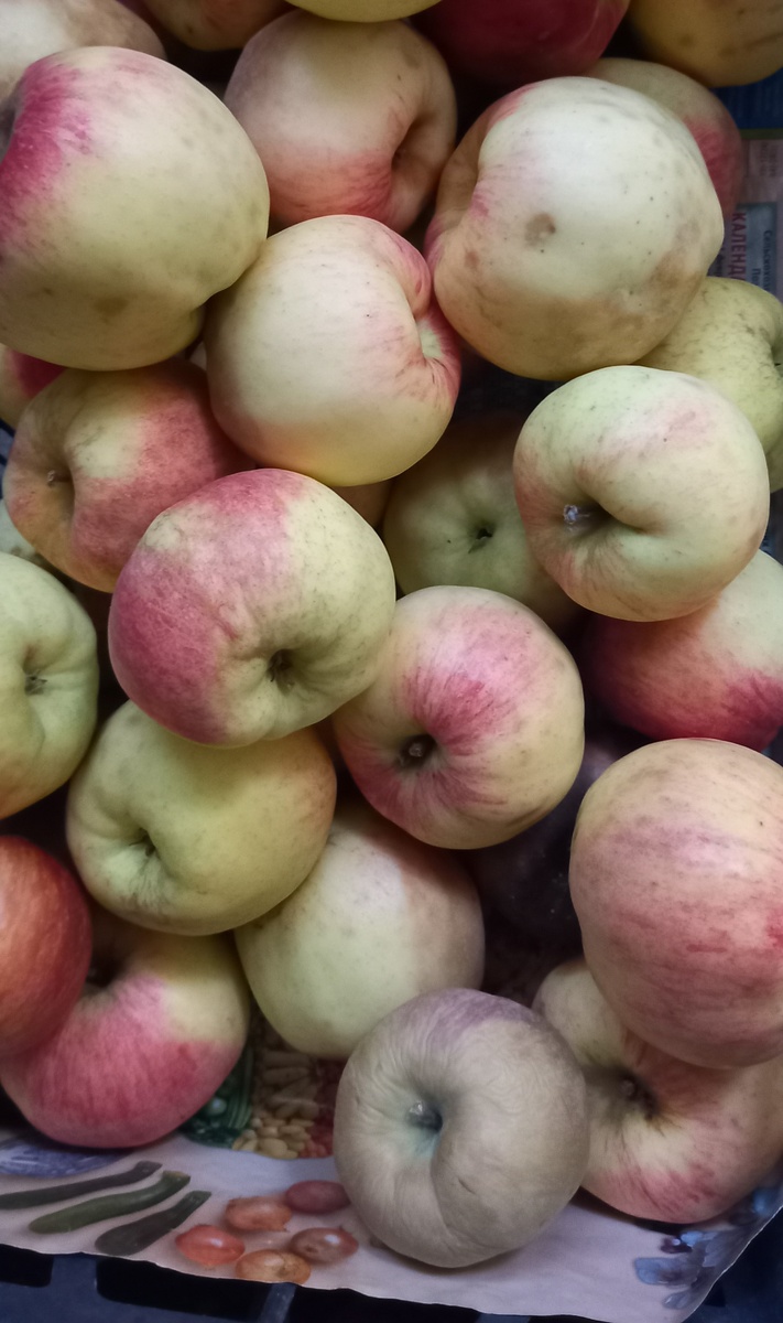 осенним яблокам я уже делала такую подклрмку, начинаю их снимать