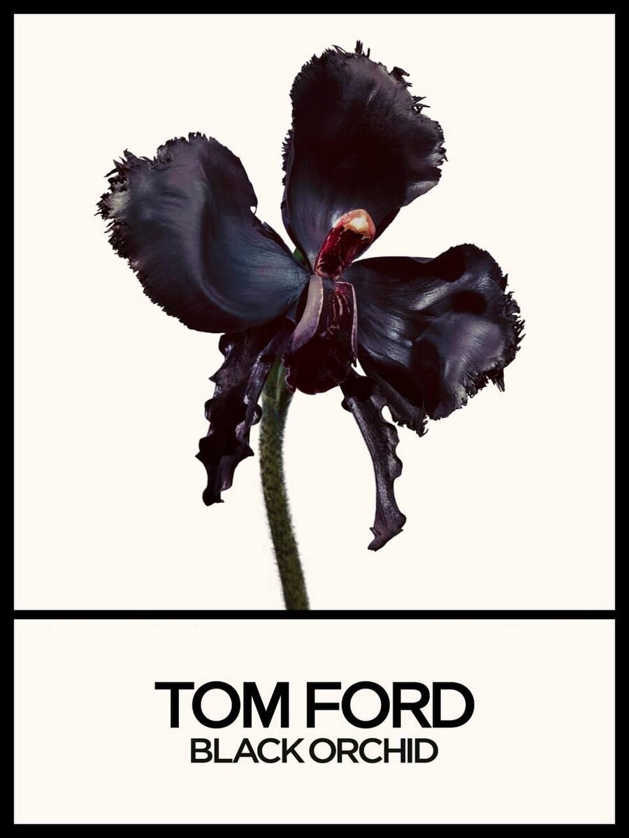    Тильда Суинтон стала лицом нового парфюма Tom Ford (фото 3)