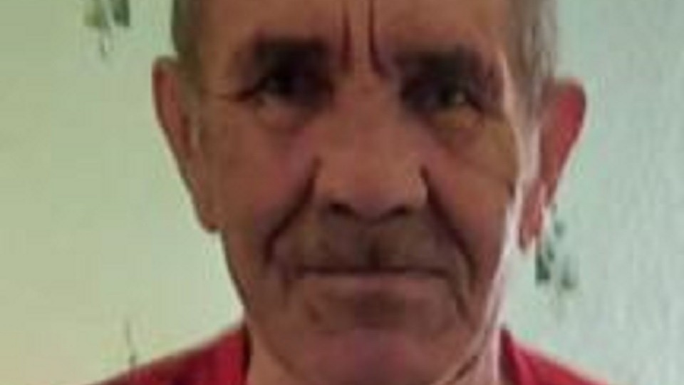 Ушел в лес и не вернулся: в Коми пропал 78-летний мужчина