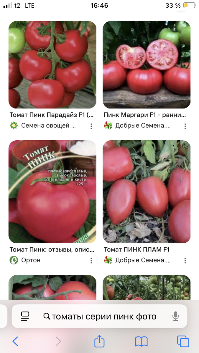 Скриншот страницы поиска по запросу «томаты серии пинк фото»