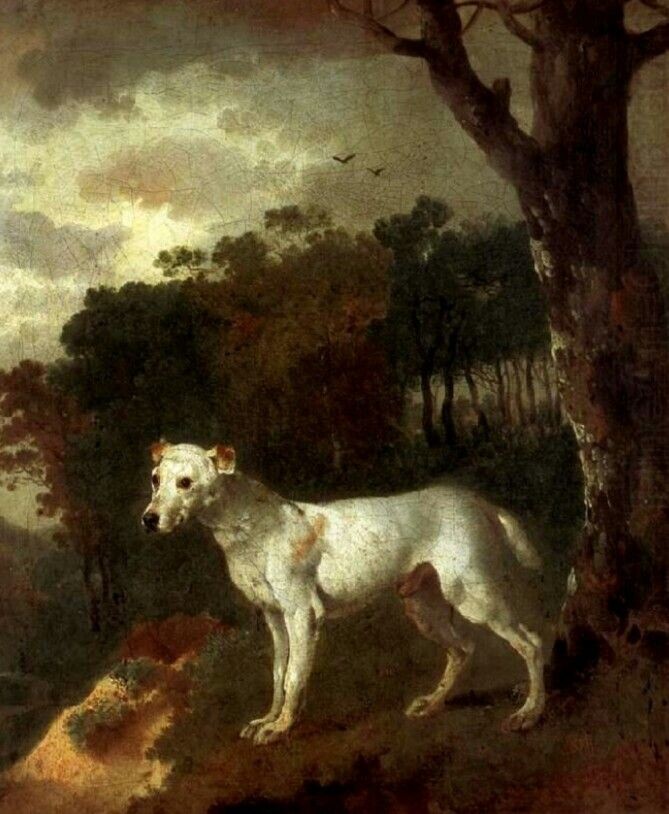 Томас Гейнсборо – «Бампер – Бультерьер» (1745 год), частная коллекция