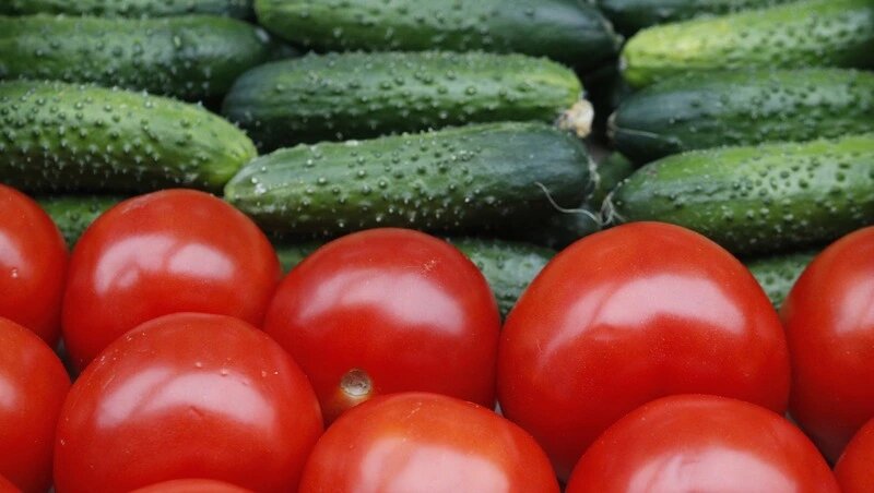      Фото: ИА «Победа26»