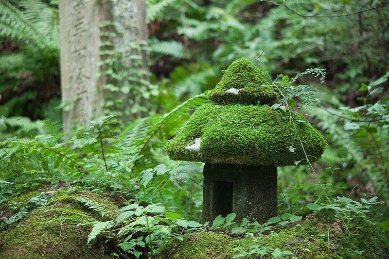 Японский каменный фонарь торо, покрытый мхом. Фото из открытых источников.