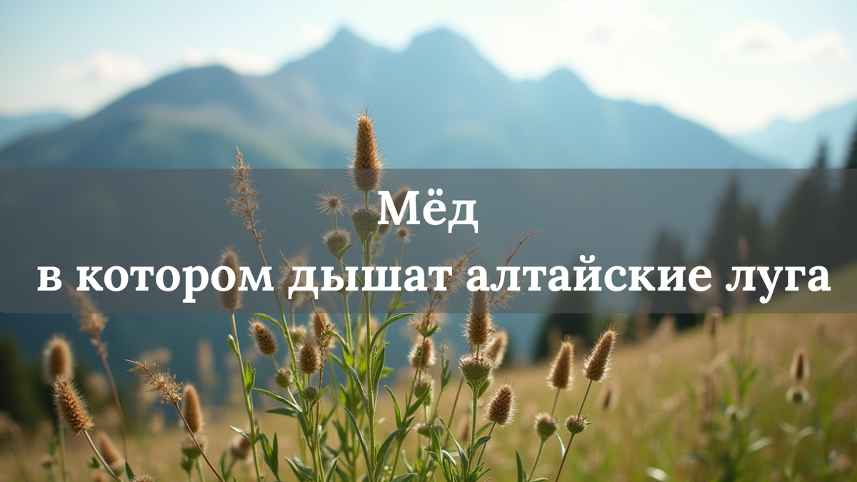 Банка мёда из разнотравья Алтая с букетом луговых трав на фоне гор и зелёных лугов в солнечных лучах