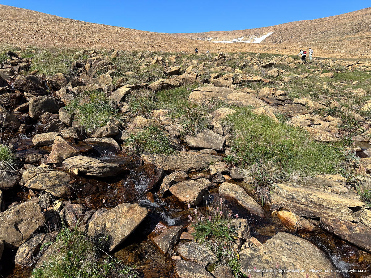 Где-то тут тропа. Но кстати, в этом походе к леднику Романтиков на Ямале гиды у нас были чудесные. К ним никаких вопросов. 