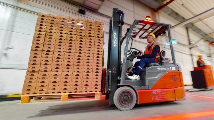    Фото: Минсельхозпрод Московской области