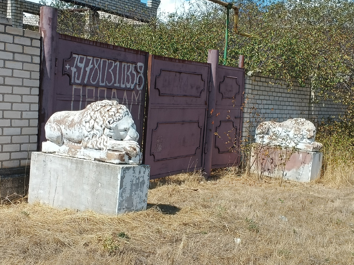 ОНИ!!! Фото Галины Малышевой.