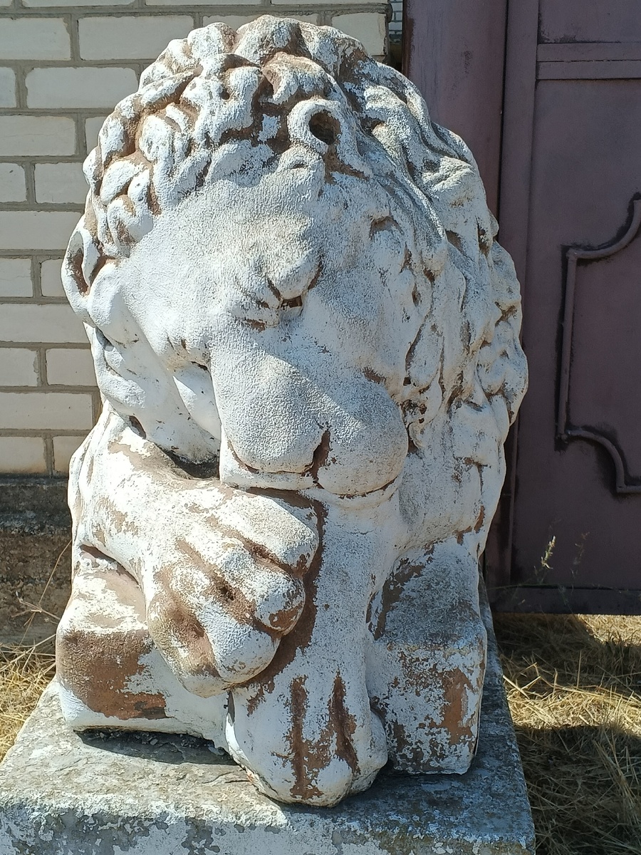 Сладкий сон. Фото Галины Малышевой.