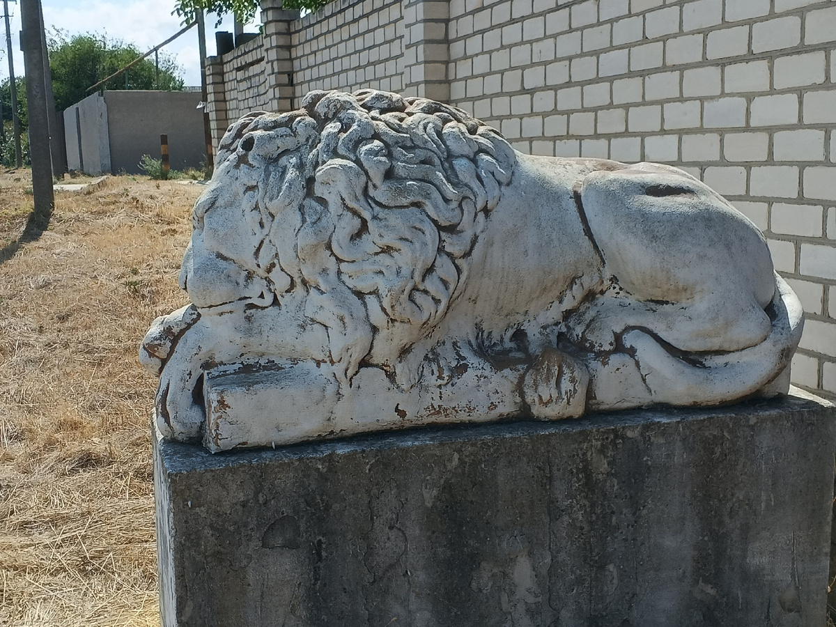 Ну очень крепко спим. Фото Галины Малышевой.