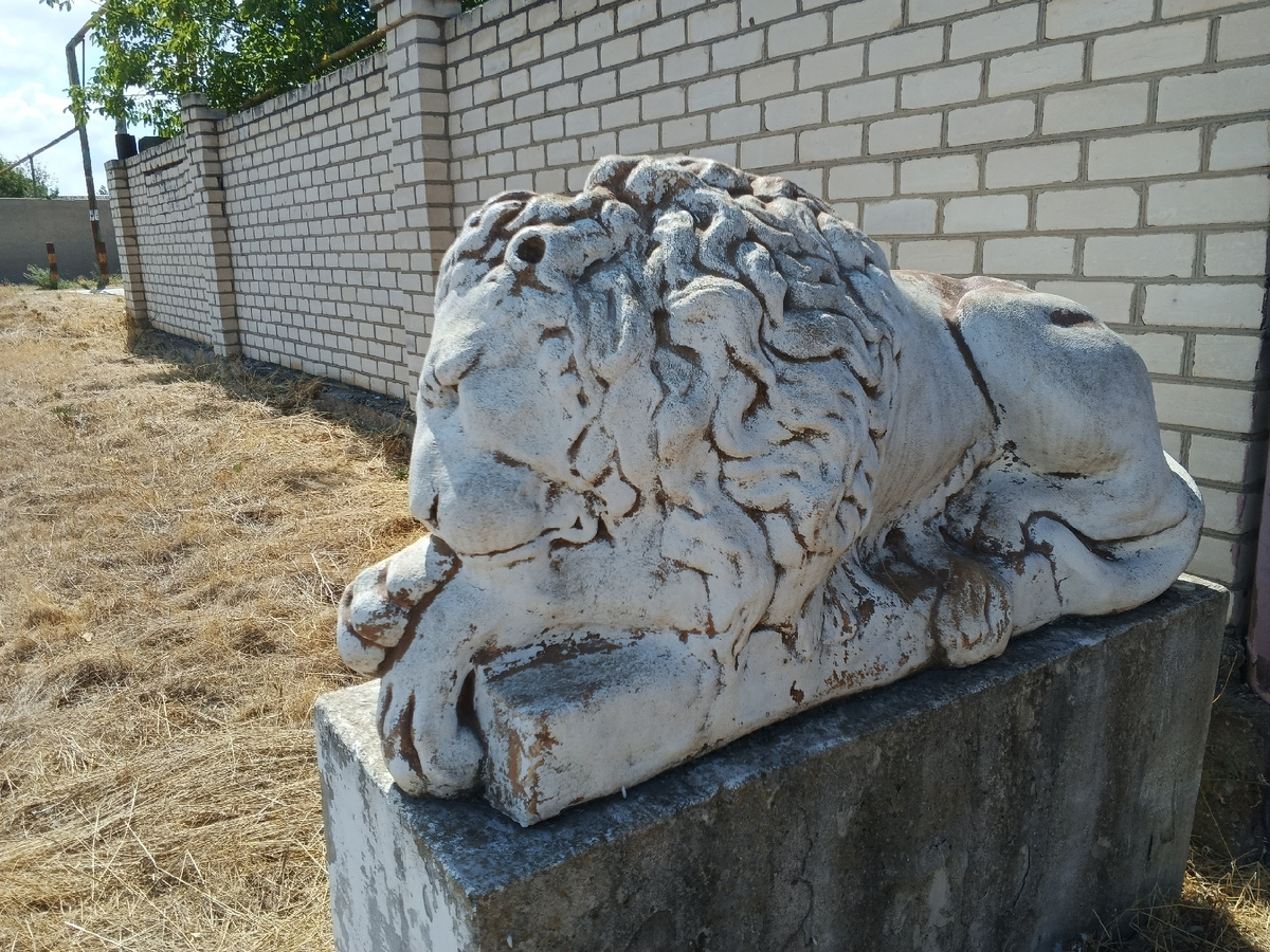 И ещё раз спим. Фото Галины Малышевой.