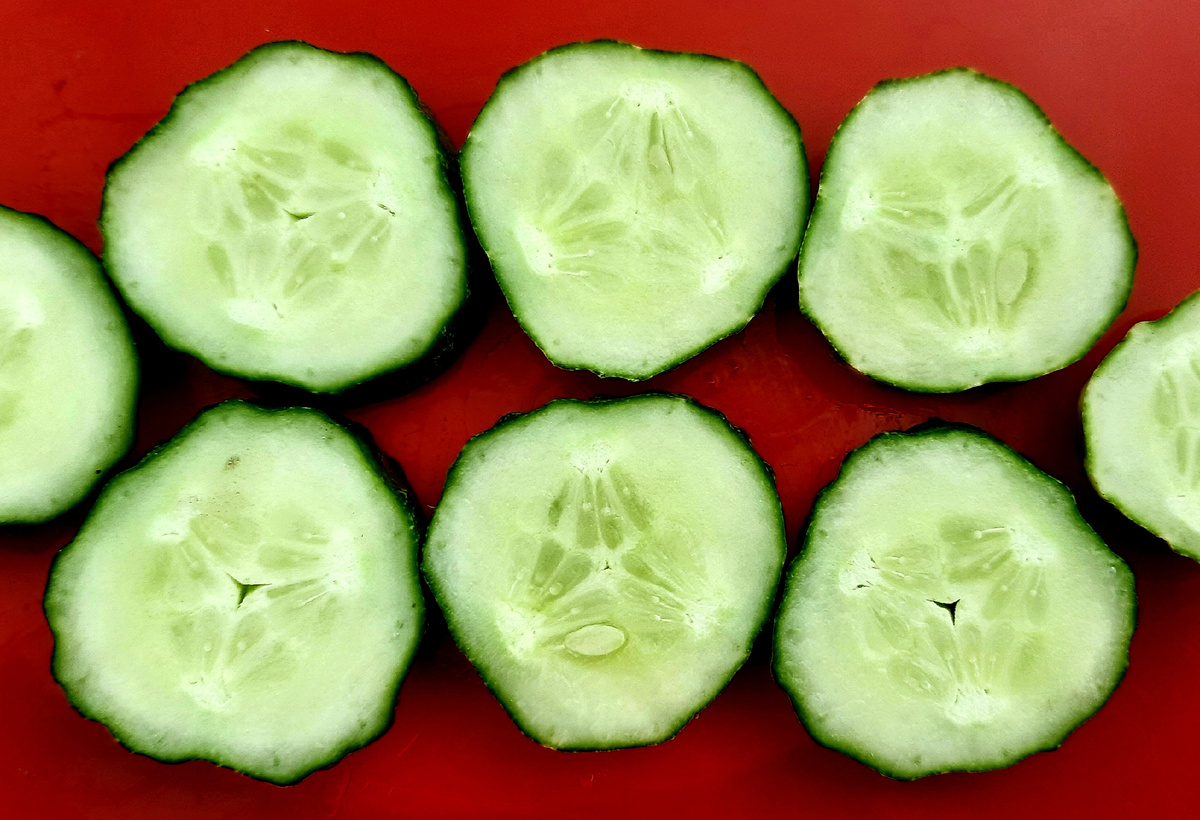 Фото автора. Огуречные колёса.