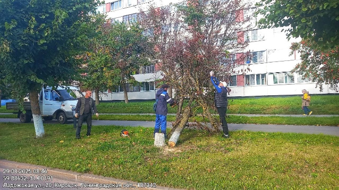 Фото: администрация города Кировск