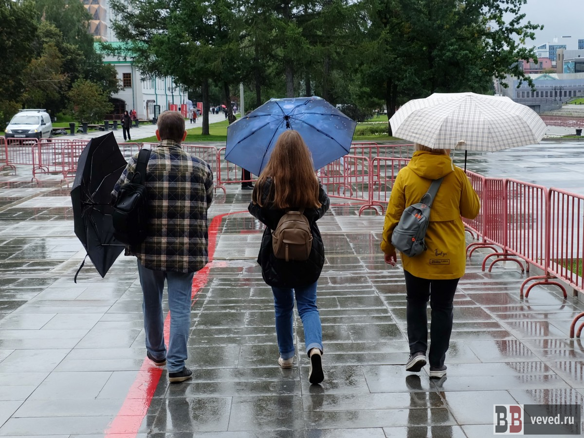     Фото: Владислав Постников / Вечерние ведомости