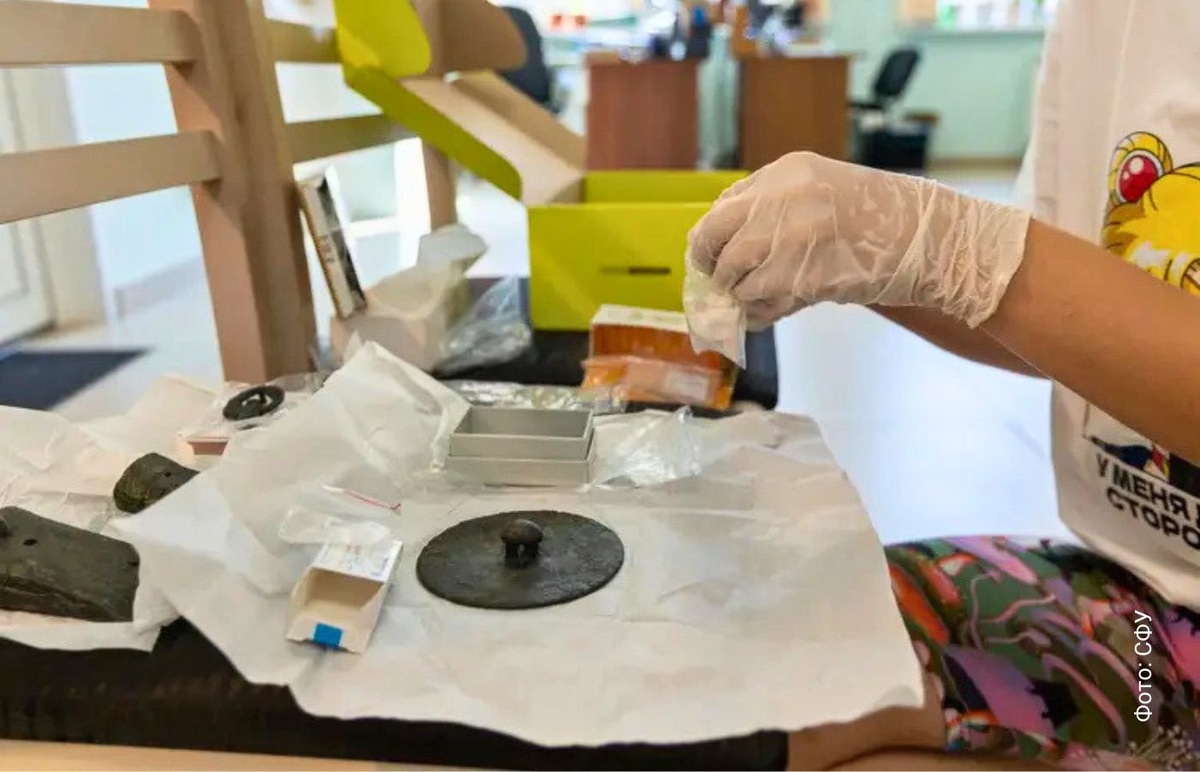    При распашке земель сельские жители случайно заметили бронзовые артефакты. Ученые организовали археологическое исследование, которое позволило обнаружить древнее захоронение и различные ценные предметы.