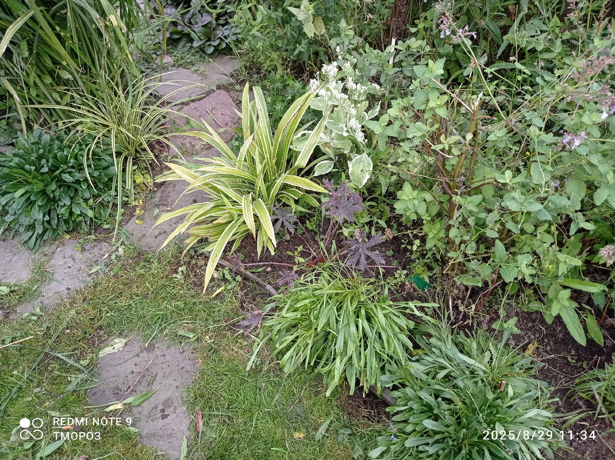 первая проблема