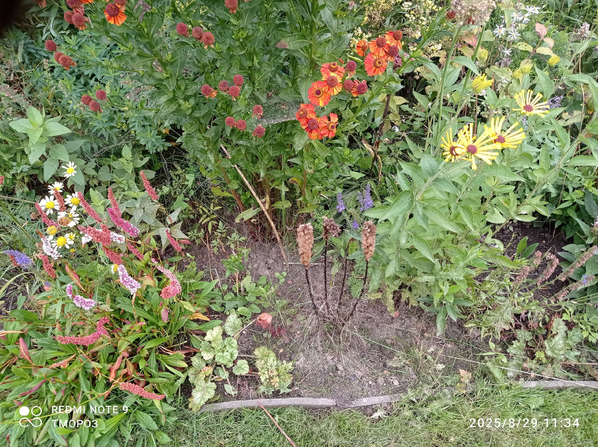 вторая проблема