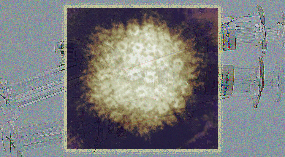   N + 1; Bicanski / Pixnio / CC0; NIAID / Flickr / CC BY-NC 2.0