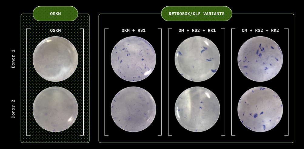 ИИ против старости; увольнение IT-спецов из-за ИИ; фильм про Python; Google Meet снова лег; iPhone 17 уже на подходе