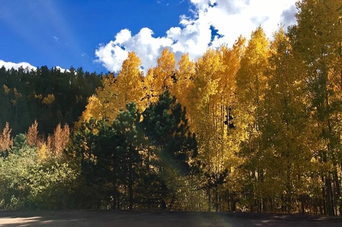    В сентябре в Псковской области ожидается до +17 градусов