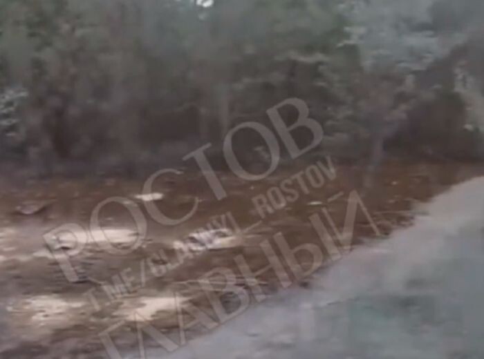 Иллюстрация: скриншот видео