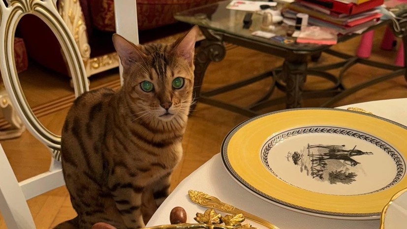    Фото из личного архива