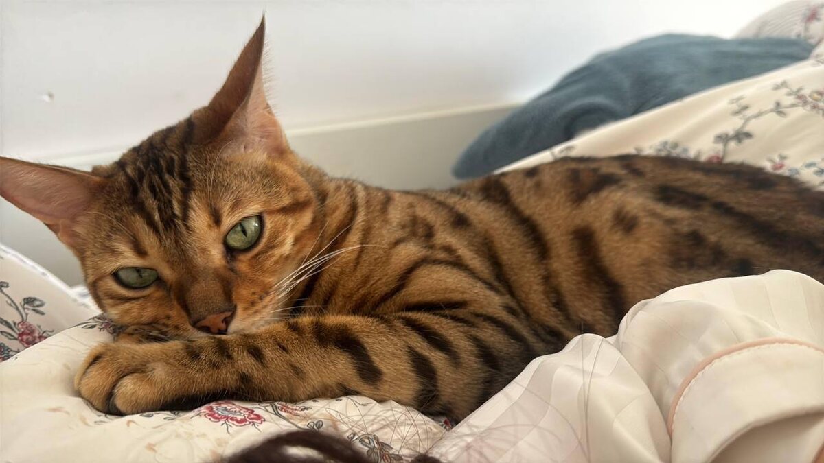     / фото из личного архива