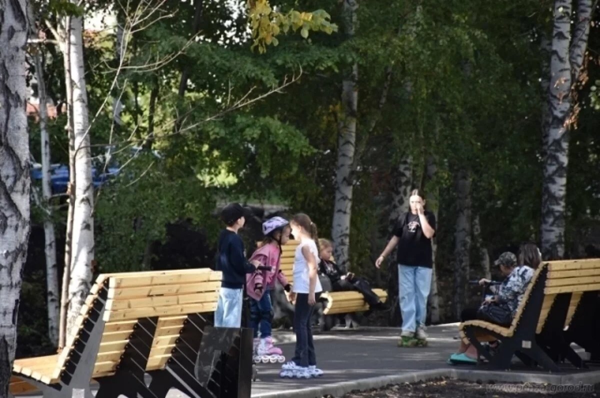    В Пензе планируют озеленить сквер на улице Ново-Казанской