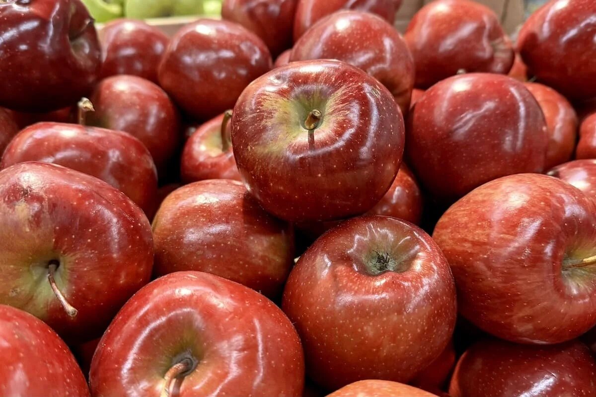 Фото: UfacityNews.ru