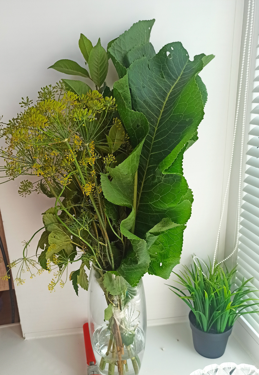 Всегда покупаю готовый пучок у бабушек на рынке