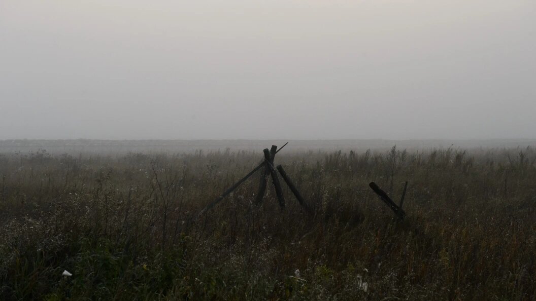    Фото: Dmitry Chasovitin/Global Look Press